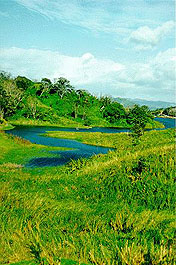 Lake Arenal