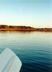 Paddling the San Jacinto River